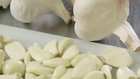 Learn About The Health Benefits Of Garlic