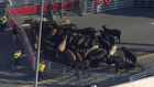 Briley Cattle Wrangling Took Coordinated Effort