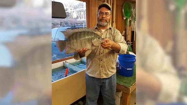 Gallatin steam plant tilapia fish recipes Gallatin steam plant tilapia fish recipes