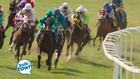 Live Racing Preview from Kentucky Downs