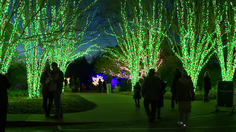 cheekwood opens holiday lights to public newschannel 5 cheekwood lights