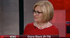 Diane Black Hopes To Crowdsource Border Wall