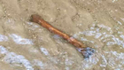 Animal Bones Found In Search For Joe Daniels