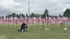 'Healing Field Flags Of Remembrance' Honors Vets