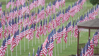 Hundreds Of Flags Displayed In Mt. Juliet