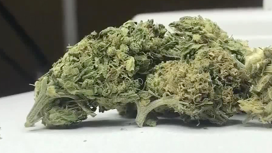 Tennessee's 1st Hemp Dispensary Opens In Murfreesboro NewsChannel 5