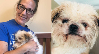 Woman Saves Small Dog Dumped On Side Of Road
