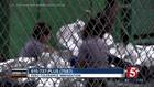 Zero Tolerance: Separation at the Border