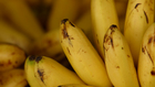 Are Bananas Healthy?