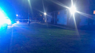 Mother Shoots Boyfriend To Protect Children