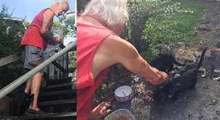 Local Musician Takes Care Of Stray Cats