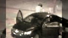 Nashville Shootings: Search Ongoing For Suspects