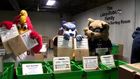 Athletes, mascots volunteer in 'All Sport Sort'