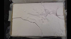 Bust keeps 1 mill. doses of Fentanyl off streets