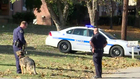 1 in custody, 1 sought in Nashville crime spree