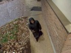 Woman shot trying to escape kidnapping suspect