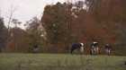 Uncertain future has farmers taking own lives