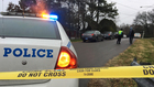 Police investigating shooting near Whitsett Park