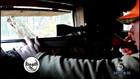 Southern Woods and Waters: Tennessee Rifle...