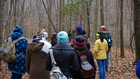 Tenn. parks offering free hikes for New Year